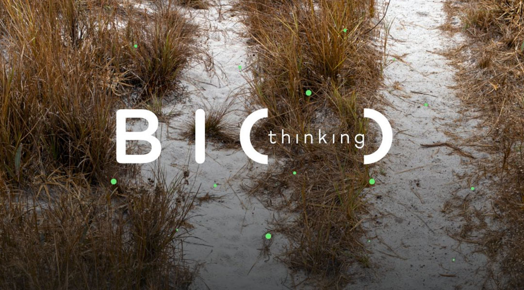 Bio-Thinking